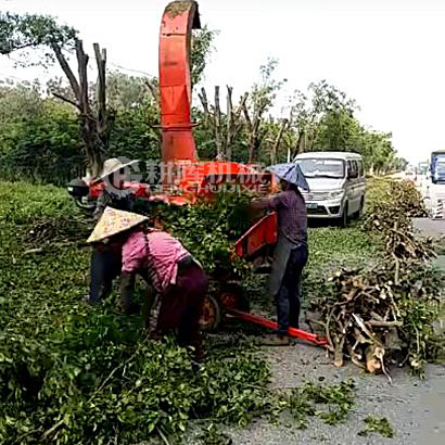 大型修剪樹枝粉碎機(jī)冬青樹粉碎機(jī)